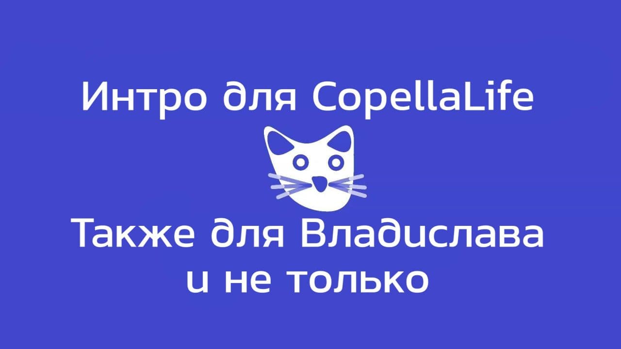 Жизнь Кота