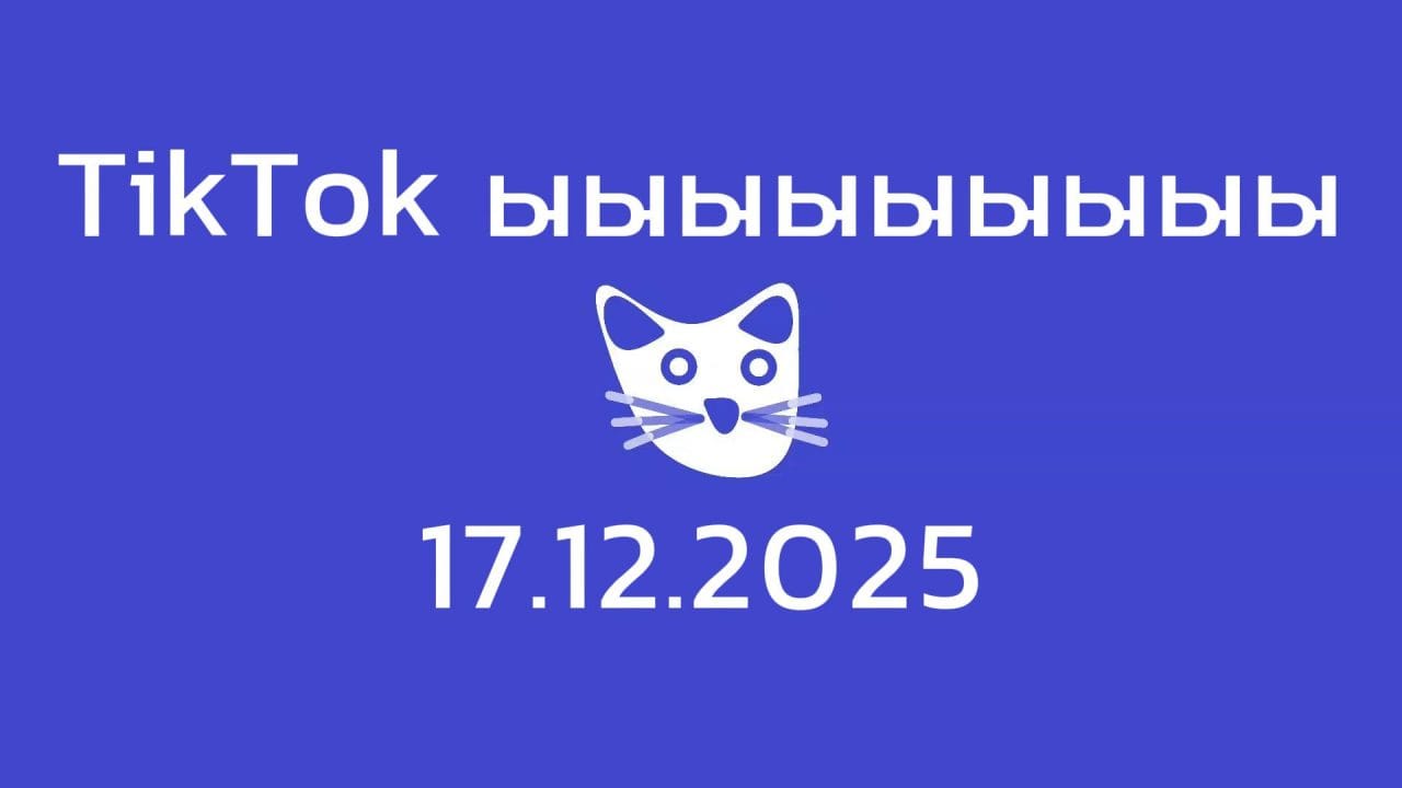 ыыыыыыыыы 17.12.2025 | Cat Life